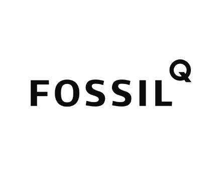 Fossil Q